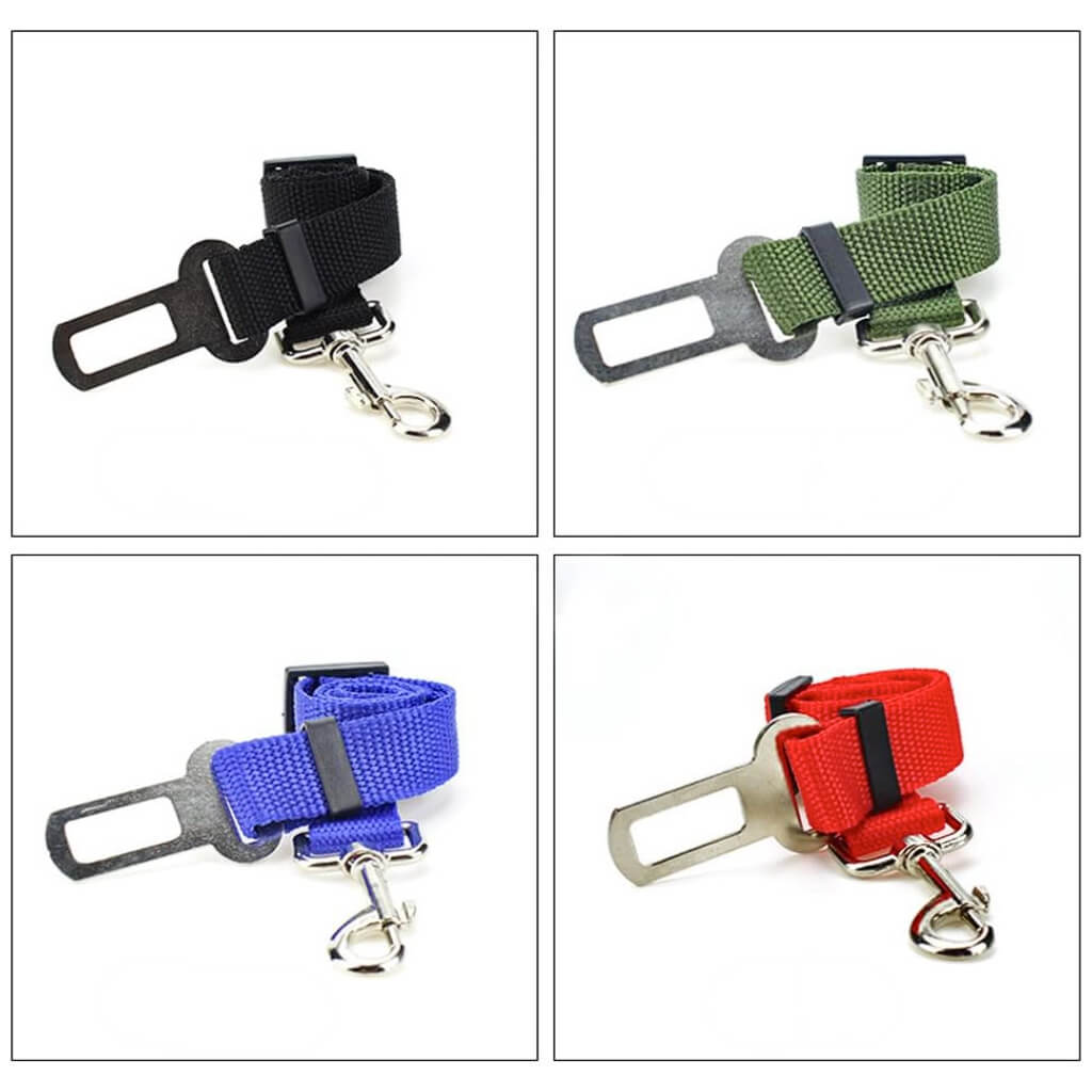 PetPalz™ SafePet Buckle