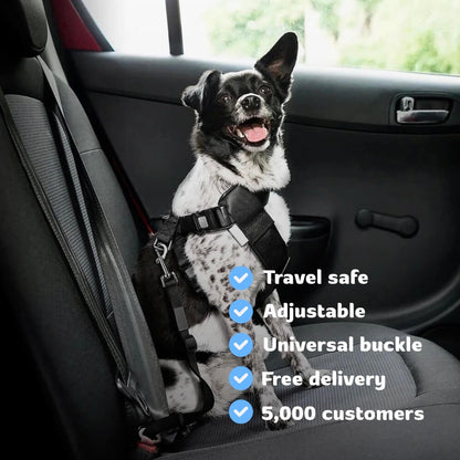 PetPalz™ SafePet Buckle