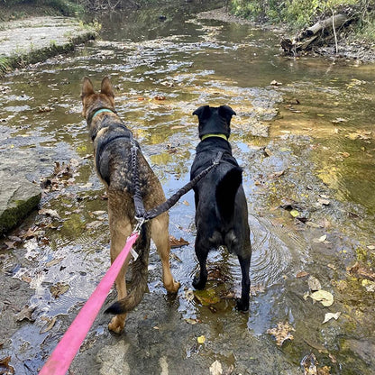 PetPalz™ DualPet Lead