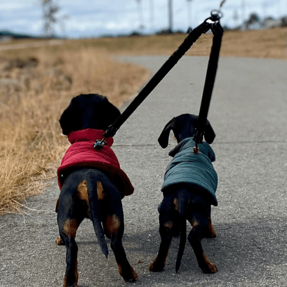 PetPalz™ DualPet Lead