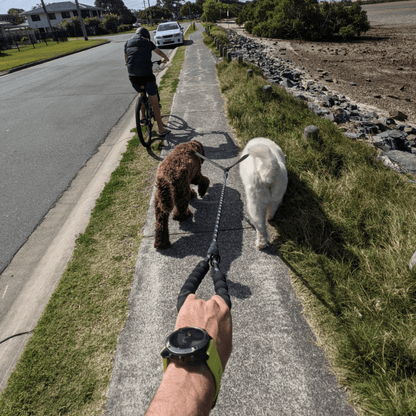 PetPalz™ DualPet Lead