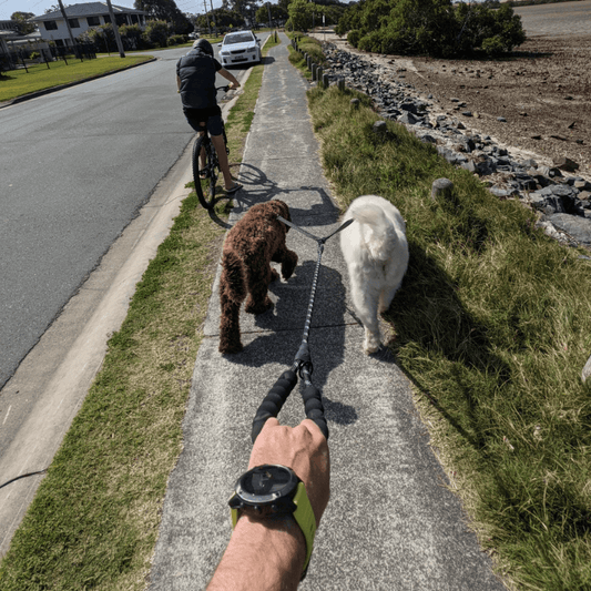 PetPalz™ DualPet Lead