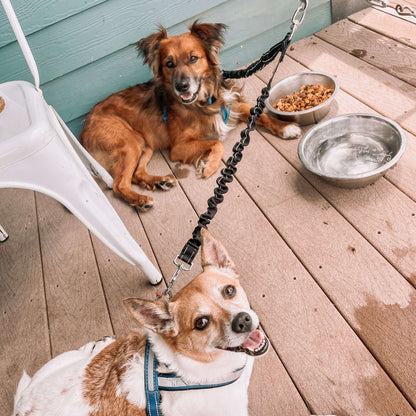PetPalz™ DualPet Lead