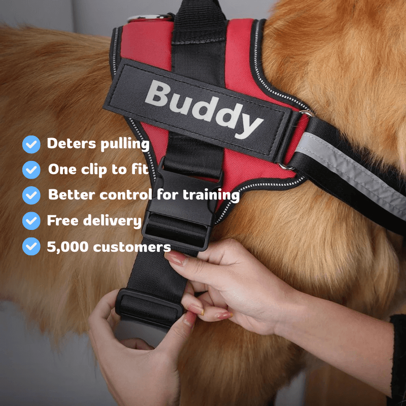 PetPalz™ EasyOn Harness