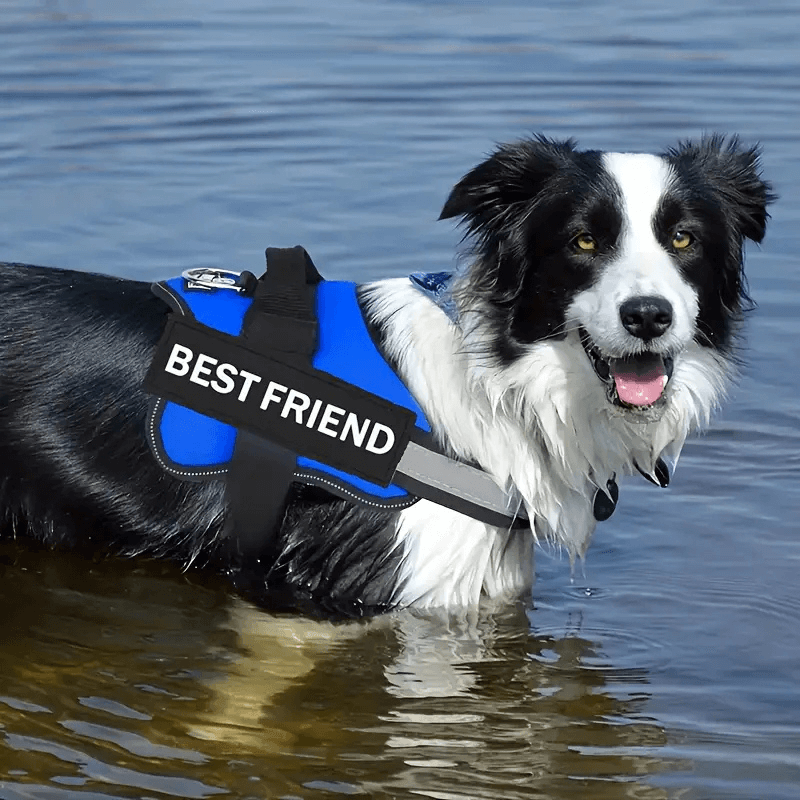 PetPalz™ EasyOn Harness