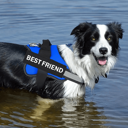 PetPalz™ EasyOn Harness