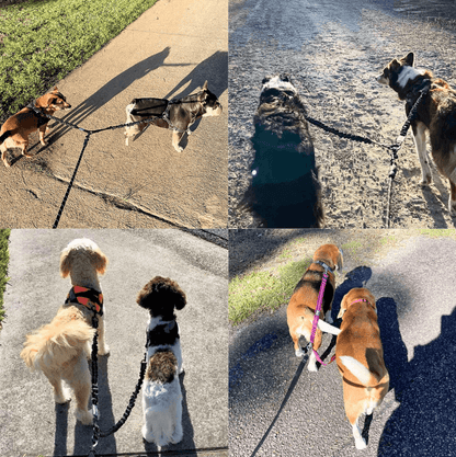 PetPalz™ DualPet Lead