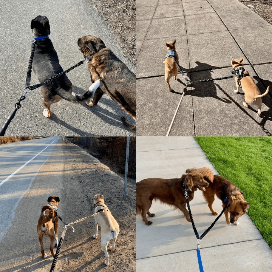 PetPalz™ DualPet Lead