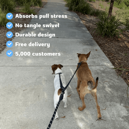 PetPalz™ DualPet Lead