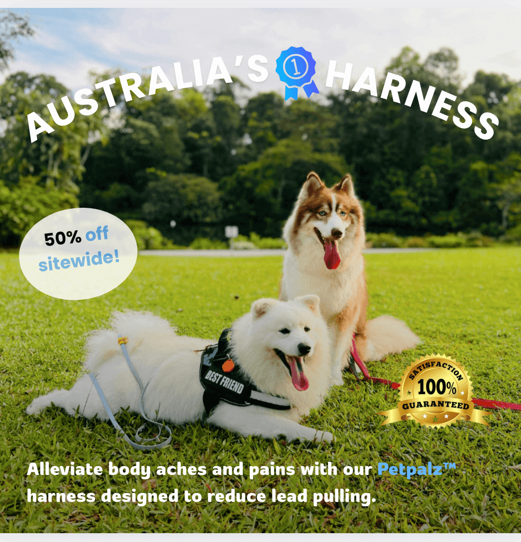 PetPalz™ EasyOn Harness
