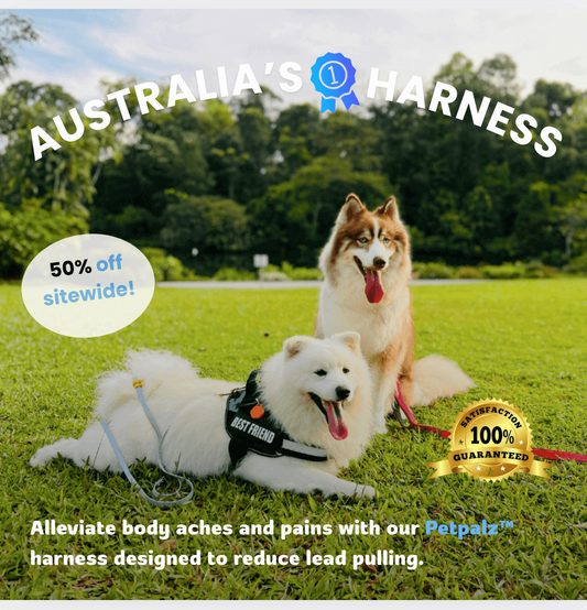 PetPalz™ EasyOn Harness