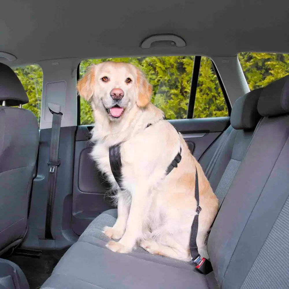 PetPalz™ SafePet Buckle