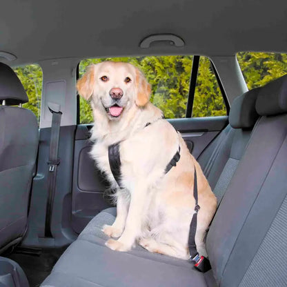 PetPalz™ SafePet Buckle