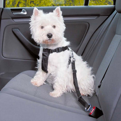PetPalz™ SafePet Buckle