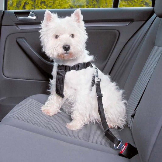 PetPalz™ SafePet Buckle
